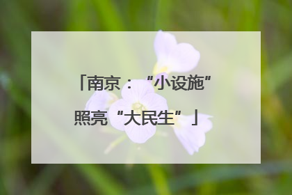 南京：“小设施”照亮“大民生”