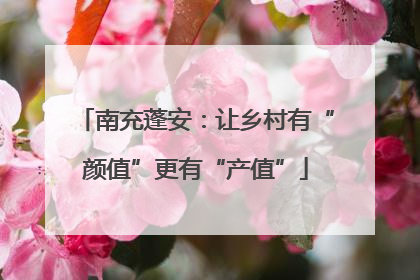 南充蓬安：让乡村有“颜值”更有“产值”