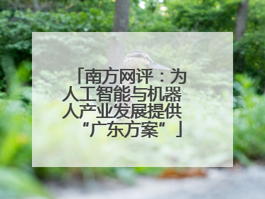 南方网评：为人工智能与机器人产业发展提供“广东方案”