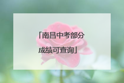 南昌中考部分成绩可查询