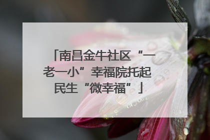南昌金牛社区“一老一小”幸福院托起民生“微幸福”