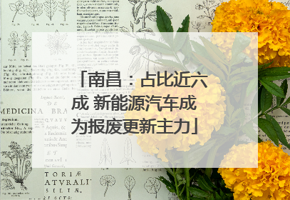 南昌：占比近六成 新能源汽车成为报废更新主力