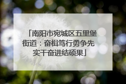 南阳市宛城区五里堡街道：奋楫笃行勇争先 实干奋进结硕果