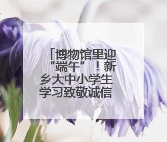 博物馆里迎“端午”！新乡大中小学生学习致敬诚信精神