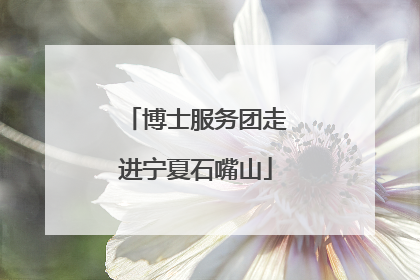 博士服务团走进宁夏石嘴山
