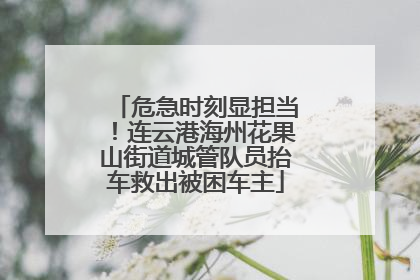 危急时刻显担当！连云港海州花果山街道城管队员抬车救出被困车主