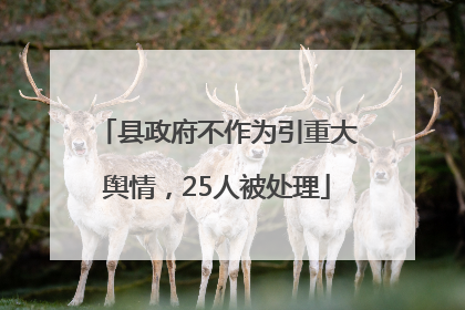 县政府不作为引重大舆情，25人被处理