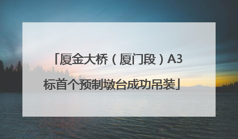 厦金大桥（厦门段）A3标首个预制墩台成功吊装