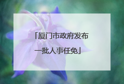 厦门市政府发布一批人事任免