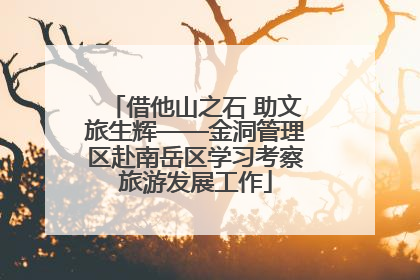 借他山之石 助文旅生辉——金洞管理区赴南岳区学习考察旅游发展工作