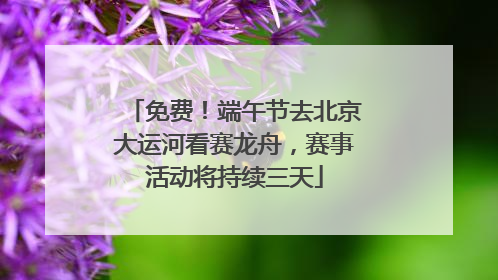 免费！端午节去北京大运河看赛龙舟，赛事活动将持续三天