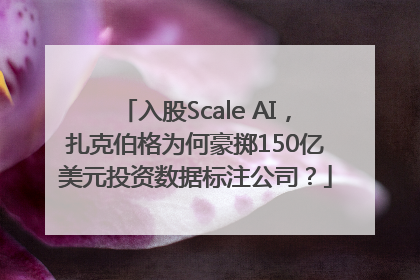 入股Scale AI，扎克伯格为何豪掷150亿美元投资数据标注公司？