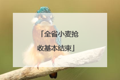 全省小麦抢收基本结束