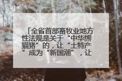 全省首部畜牧业地方性法规是关于“中华熊猫猪”的，让“土特产”成为“新国潮”，让“农产品”升格为“城市IP”