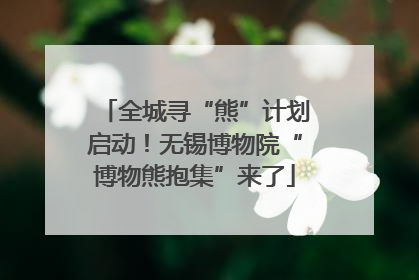 全城寻“熊”计划启动！无锡博物院“博物熊抱集”来了
