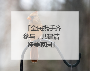 全民携手齐参与，共建洁净美家园