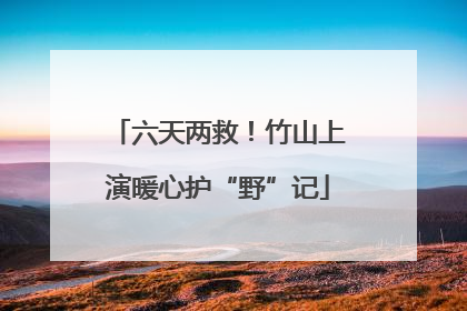六天两救！竹山上演暖心护“野”记