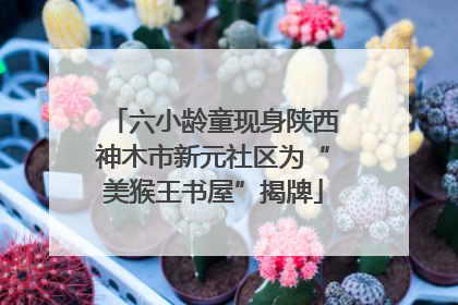 六小龄童现身陕西神木市新元社区为“美猴王书屋”揭牌