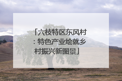 六枝特区东风村：特色产业绘就乡村振兴新图景