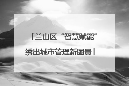 兰山区“智慧赋能”绣出城市管理新图景
