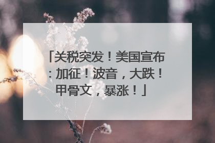 关税突发！美国宣布：加征！波音，大跌！甲骨文，暴涨！