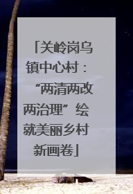 关岭岗乌镇中心村：“两清两改两治理”绘就美丽乡村新画卷