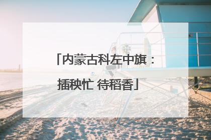 内蒙古科左中旗：插秧忙 待稻香