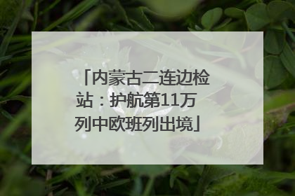 内蒙古二连边检站：护航第11万列中欧班列出境