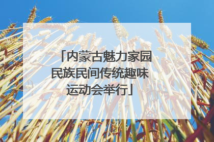 内蒙古魅力家园民族民间传统趣味运动会举行