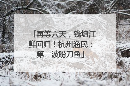 再等六天，钱塘江鲜回归！杭州渔民：第一波盼刀鱼