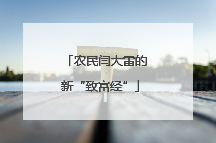 农民闫大雷的新“致富经”