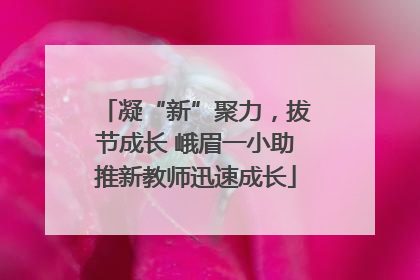 凝“新”聚力，拔节成长 峨眉一小助推新教师迅速成长