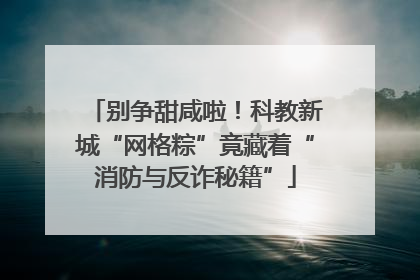 别争甜咸啦！科教新城“网格粽”竟藏着“消防与反诈秘籍”