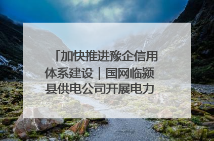加快推进豫企信用体系建设｜国网临颍县供电公司开展电力行业信用企业现场咨询访谈工作