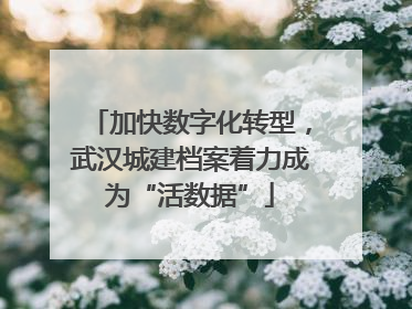 加快数字化转型，武汉城建档案着力成为“活数据”