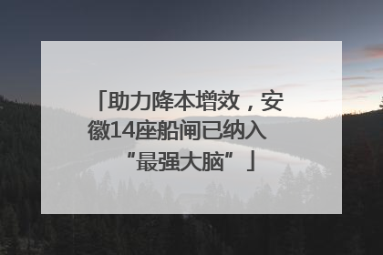 助力降本增效，安徽14座船闸已纳入“最强大脑”