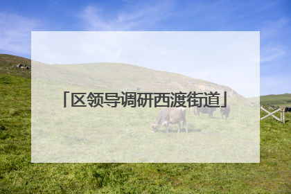 区领导调研西渡街道