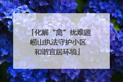 化解“禽”扰难题 崂山执法守护小区和谐宜居环境