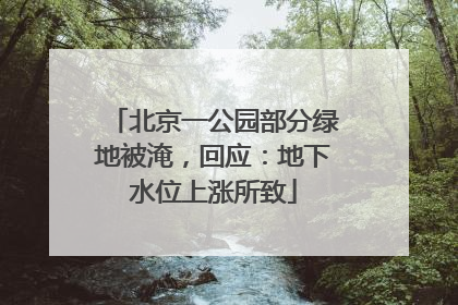 北京一公园部分绿地被淹，回应：地下水位上涨所致