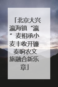 北京大兴瀛海镇“瀛”麦相承小麦丰收开镰 奏响农文旅融合新乐章