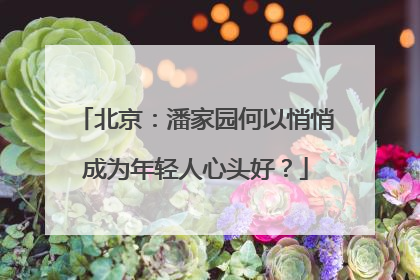 北京：潘家园何以悄悄成为年轻人心头好？
