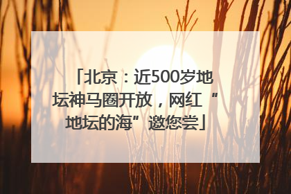 北京：近500岁地坛神马圈开放，网红“地坛的海”邀您尝
