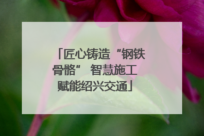 匠心铸造“钢铁骨骼” 智慧施工赋能绍兴交通