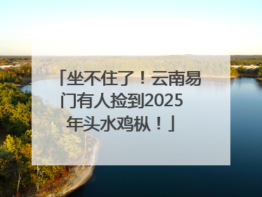坐不住了！云南易门有人捡到2025年头水鸡枞！