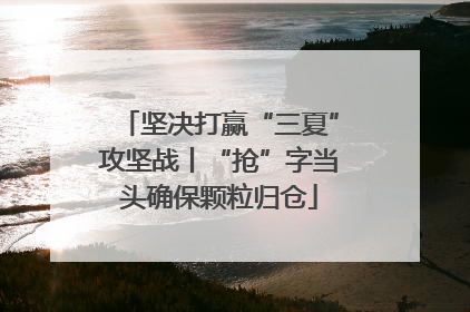坚决打赢“三夏”攻坚战丨“抢”字当头确保颗粒归仓