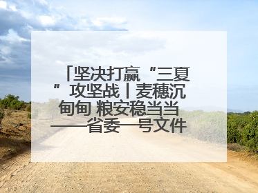 坚决打赢“三夏”攻坚战丨麦穗沉甸甸 粮安稳当当——省委一号文件系列解读①