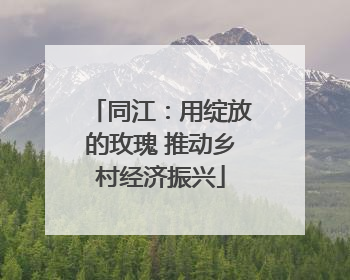同江：用绽放的玫瑰 推动乡村经济振兴