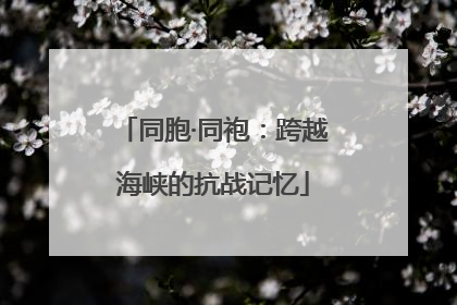 同胞·同袍：跨越海峡的抗战记忆