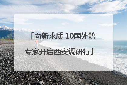 向新求质 10国外籍专家开启西安调研行