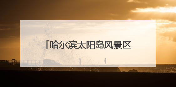 哈尔滨太阳岛风景区“阳光彩虹桥”带游客“漫步彩虹之上”